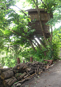 A picture of our premises